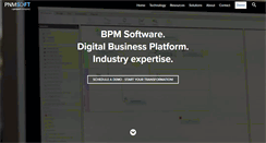 Desktop Screenshot of pnmsoft.com
